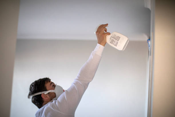 Best Industrial Mold Remediation in Chelsea, MA